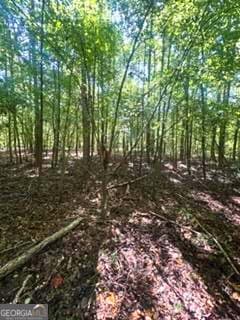agriculture for sale at 2607 Hughes Road, Bowman, GA 30624 — photo 4
