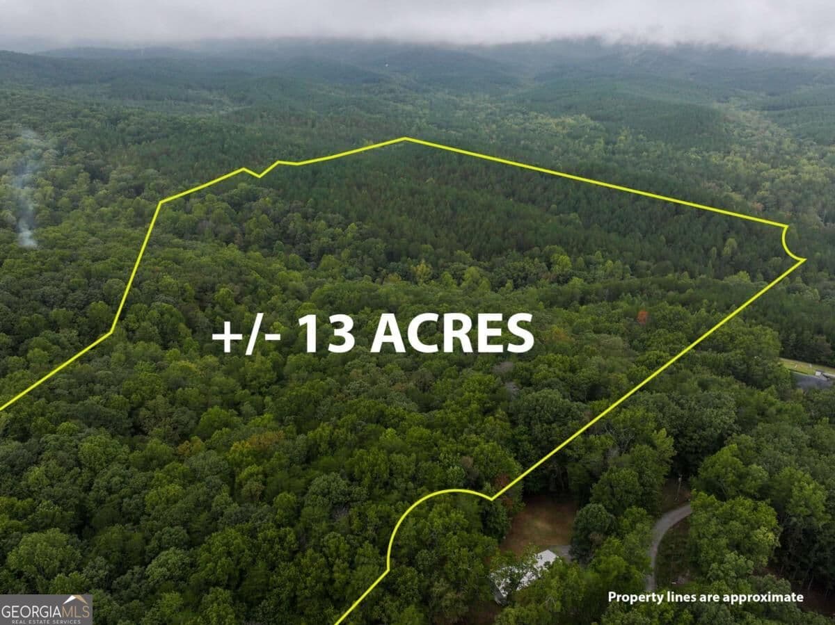 residential lot for sale at 0 Adrianne Lane, Dawsonville, GA 30534 — photo 2