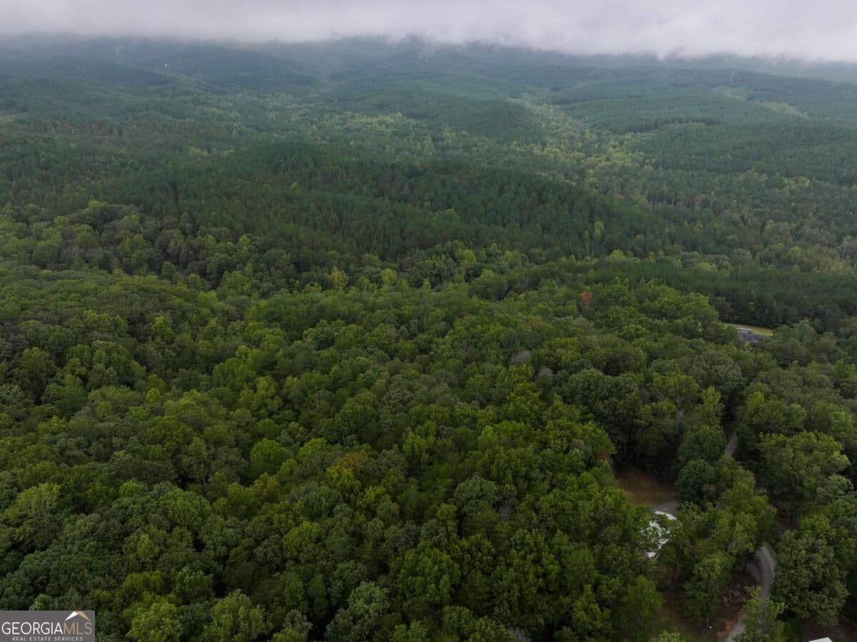 residential lot for sale at 0 Adrianne Lane, Dawsonville, GA 30534 — photo 6