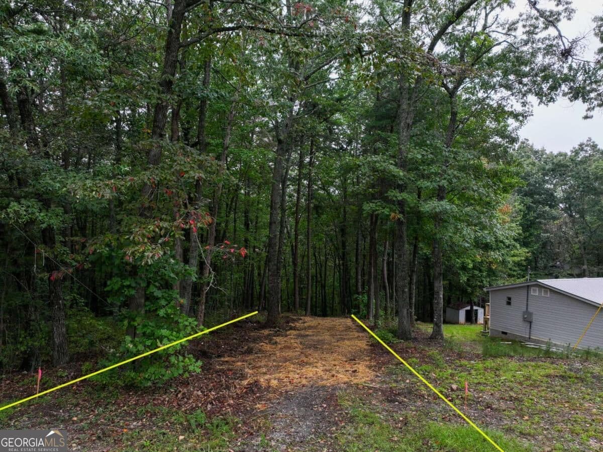 residential lot for sale at 0 Adrianne Lane, Dawsonville, GA 30534 — photo 3