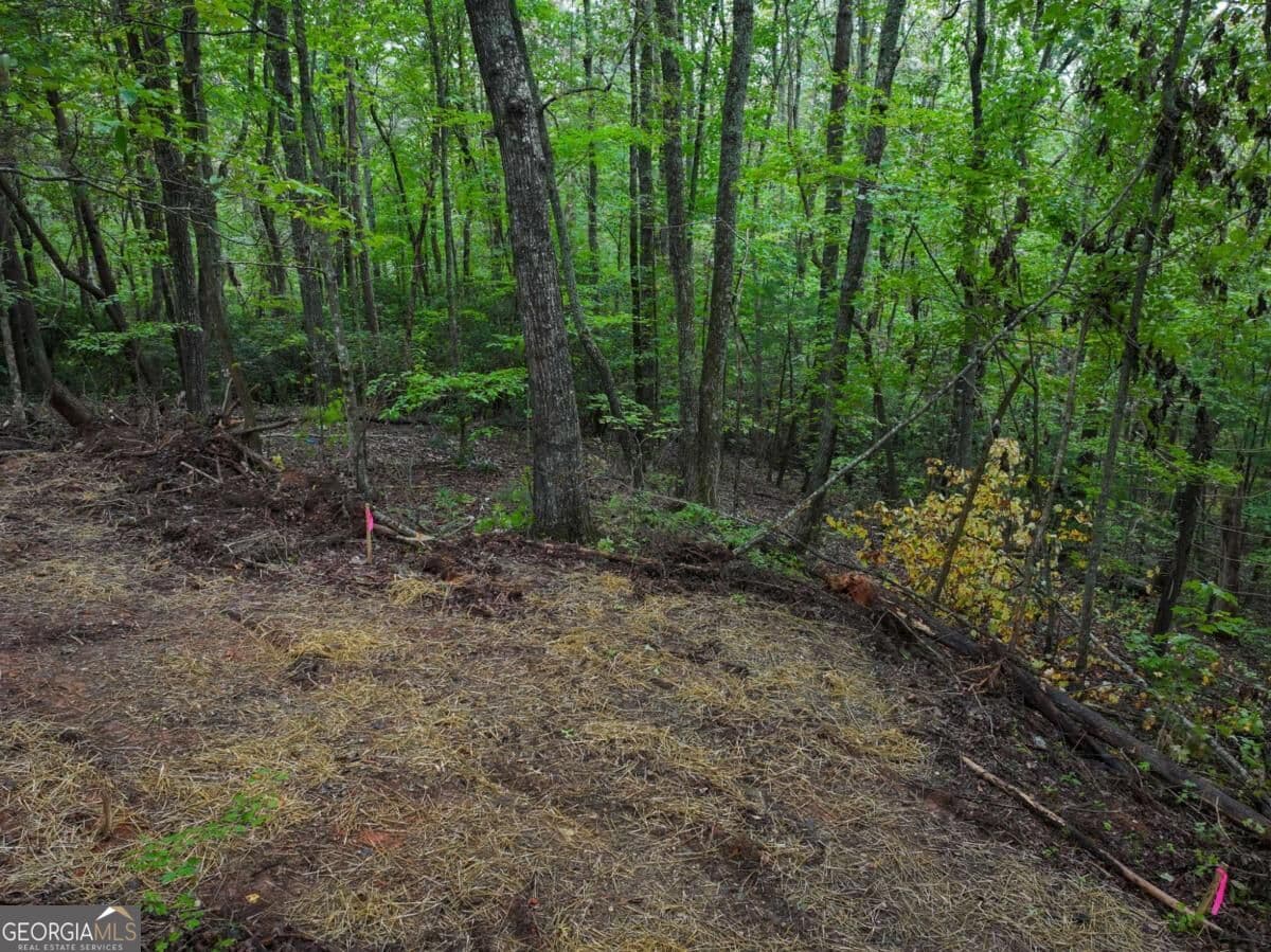 residential lot for sale at 0 Adrianne Lane, Dawsonville, GA 30534 — photo 5