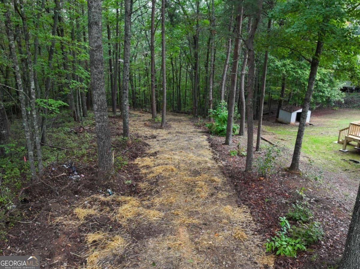 residential lot for sale at 0 Adrianne Lane, Dawsonville, GA 30534 — photo 4