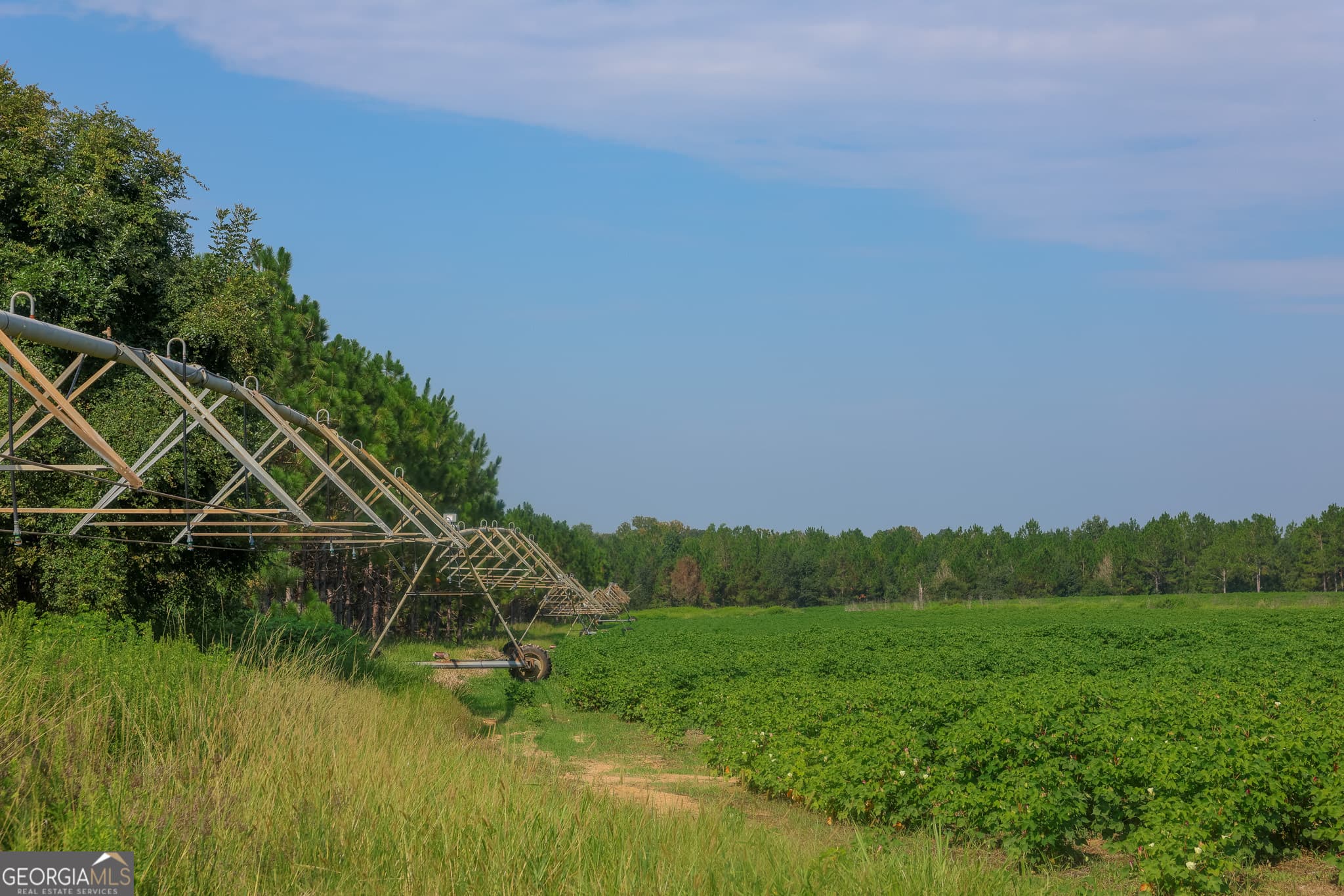agriculture sold at 0 Smithville Road, Smithville, GA 31787