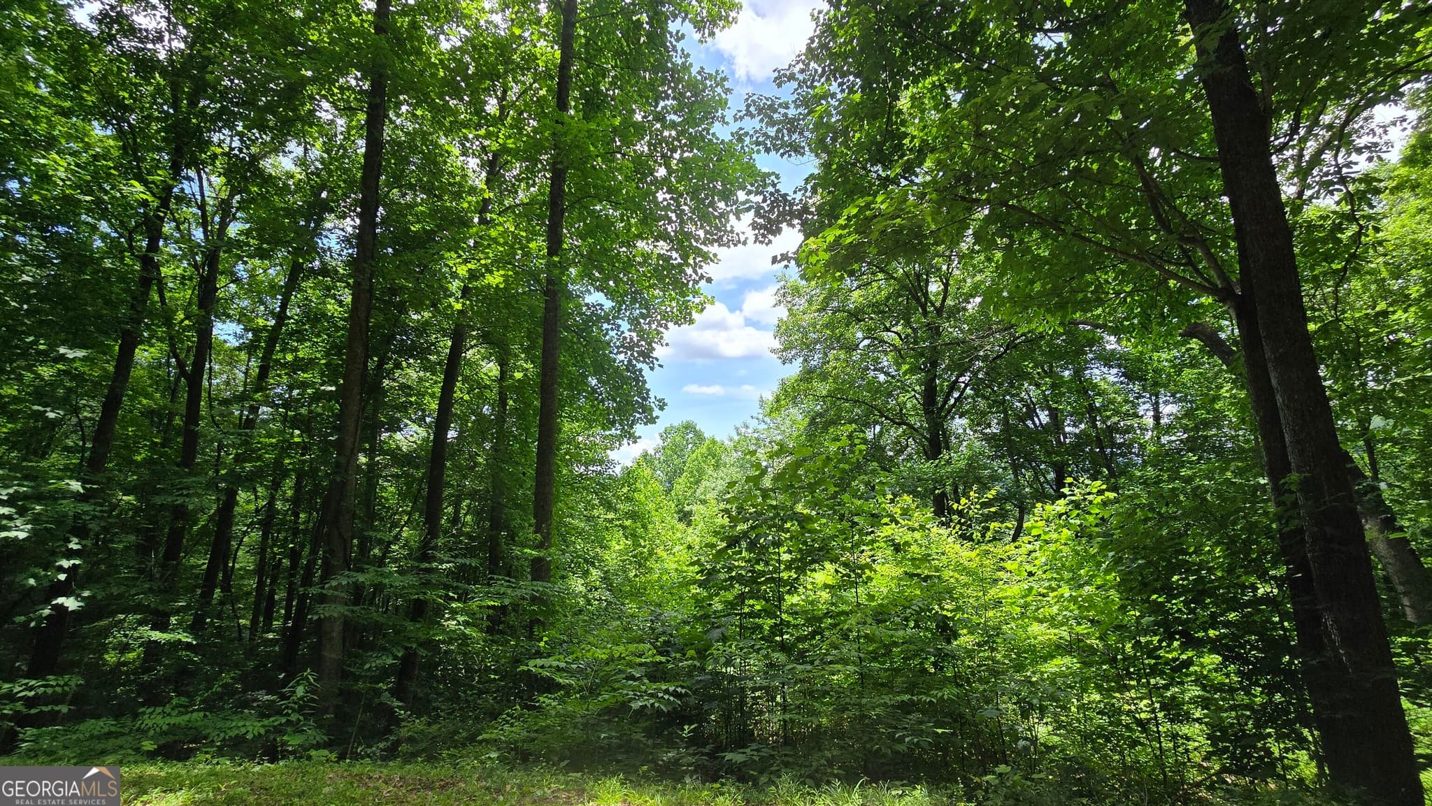 unimproved land for sale at LOT 30 High Meadows, Hayesville, NC 28904 — photo 7