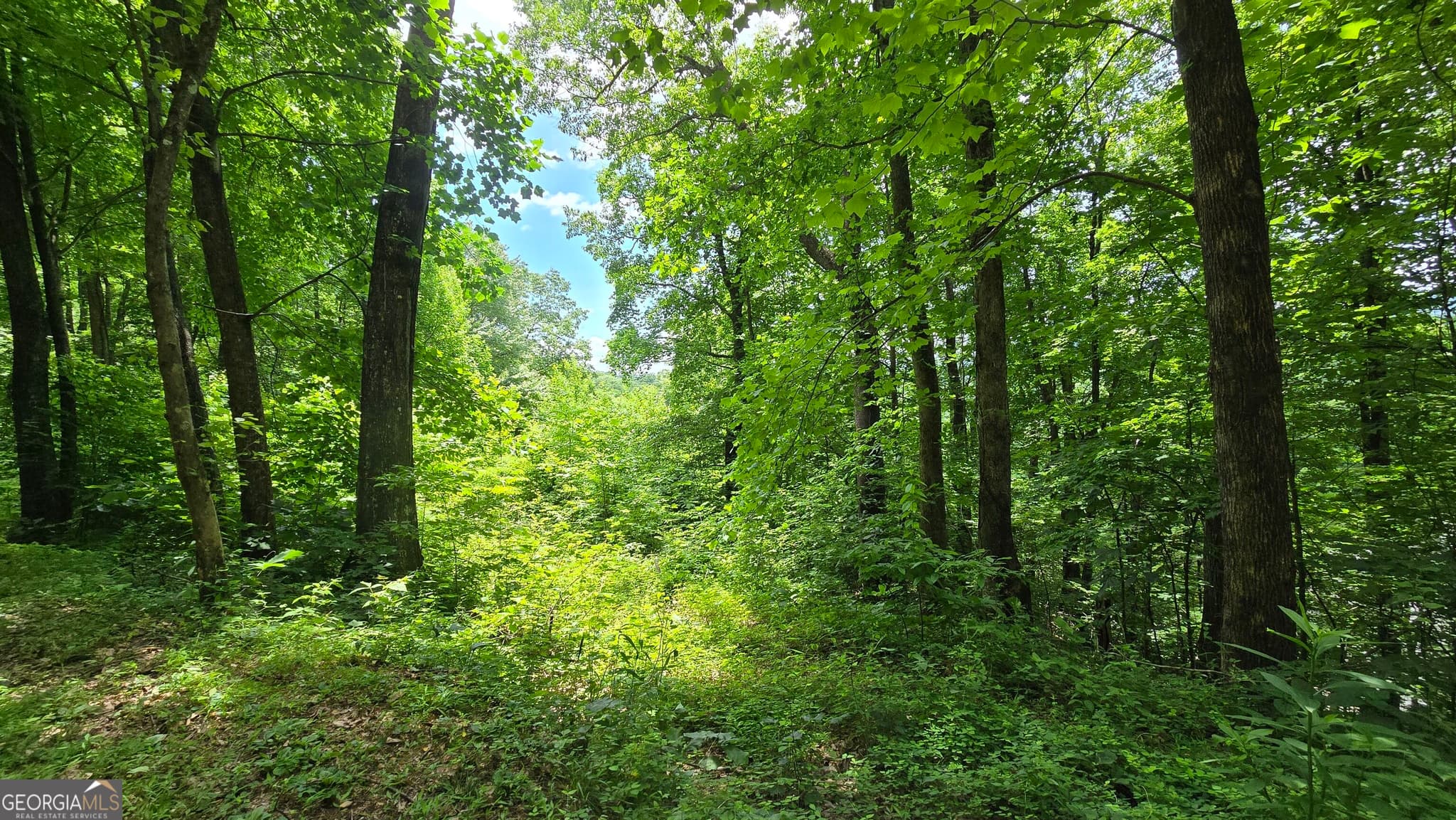 unimproved land for sale at LOT 30 High Meadows, Hayesville, NC 28904 — photo 1 of 15