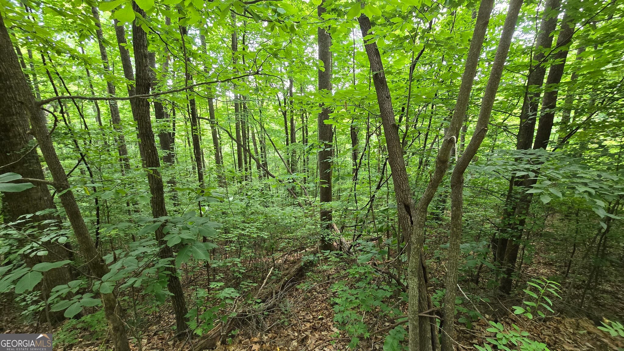 unimproved land for sale at LOT 30 High Meadows, Hayesville, NC 28904 — photo 9