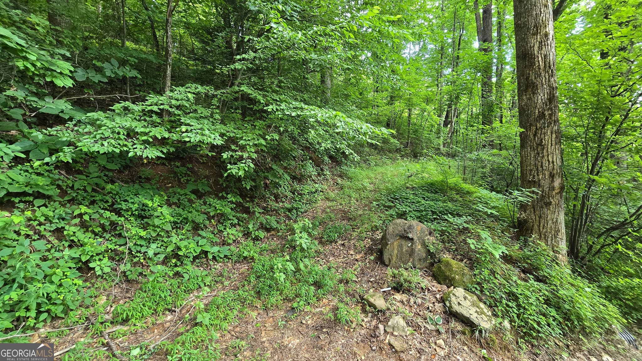 unimproved land for sale at LOT 30 High Meadows, Hayesville, NC 28904 — photo 10