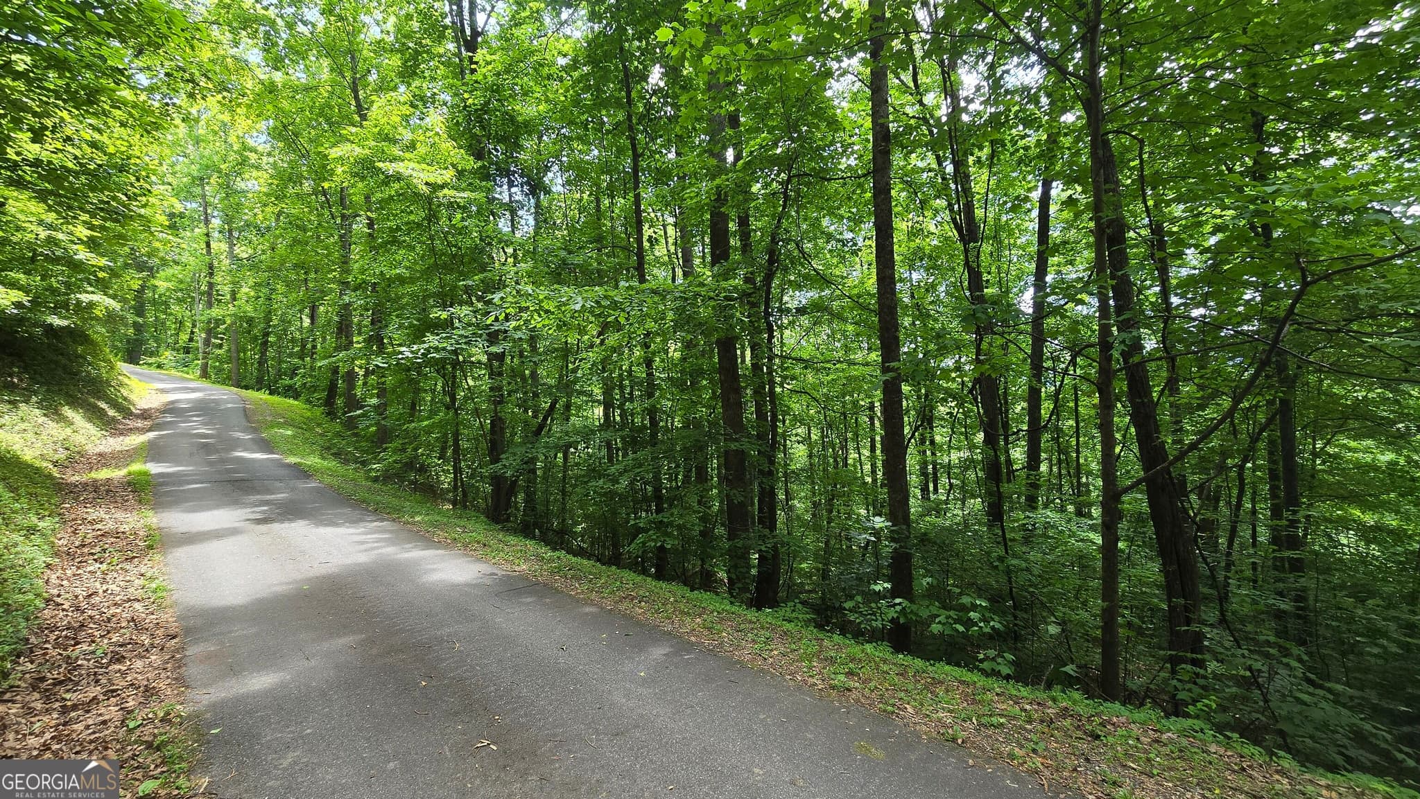 unimproved land for sale at LOT 30 High Meadows, Hayesville, NC 28904 — photo 4