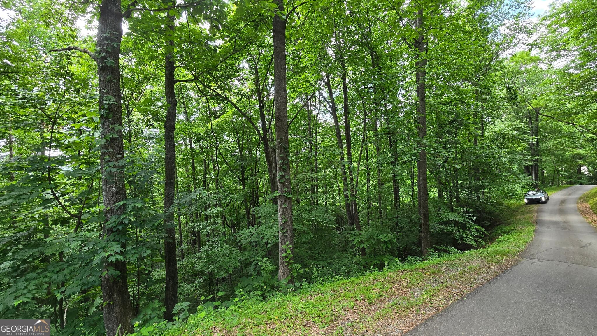 unimproved land for sale at LOT 30 High Meadows, Hayesville, NC 28904 — photo 8