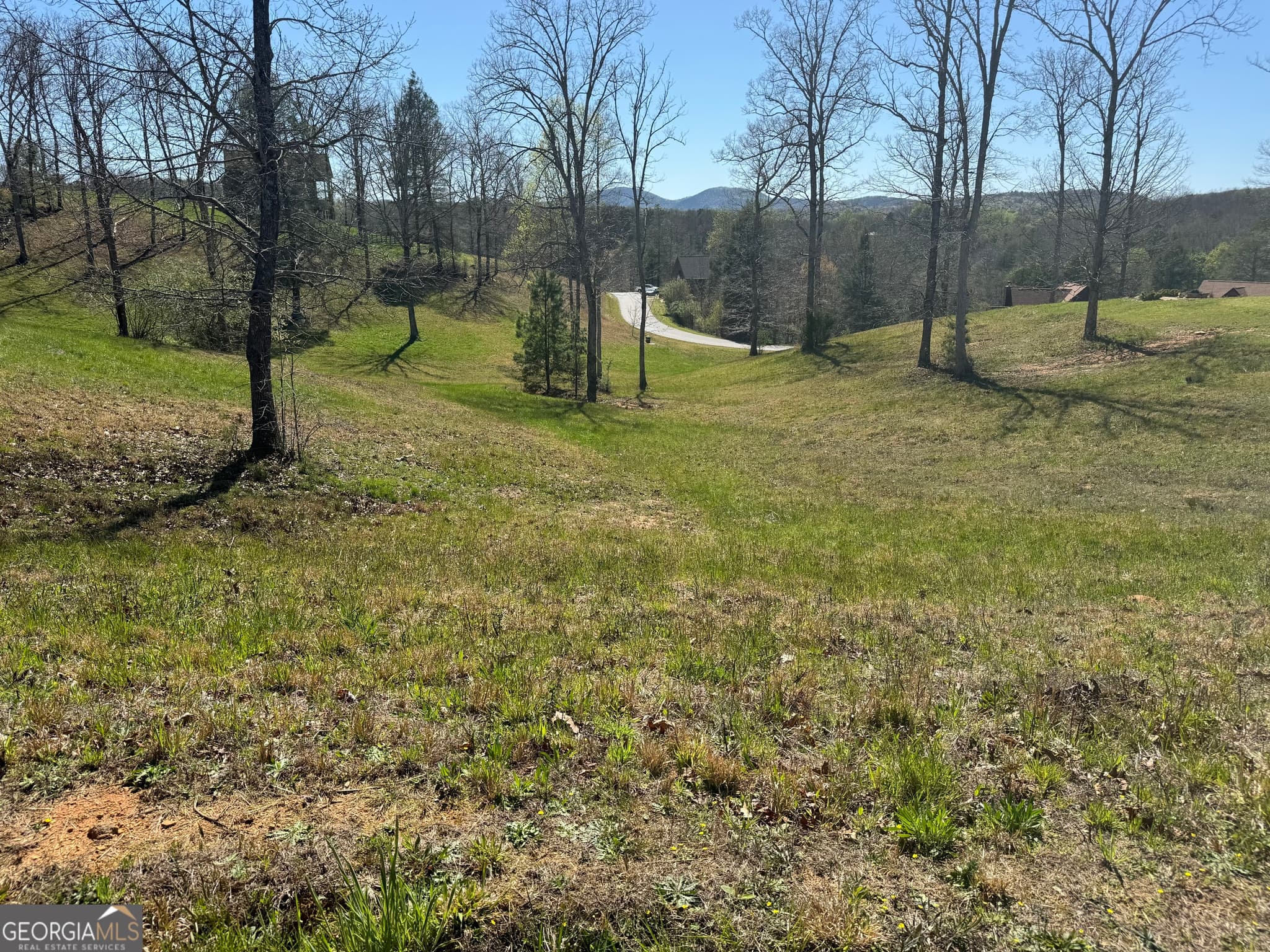 residential lot for sale at 0 Lola Drive, Blairsville, GA 30512 — photo 2