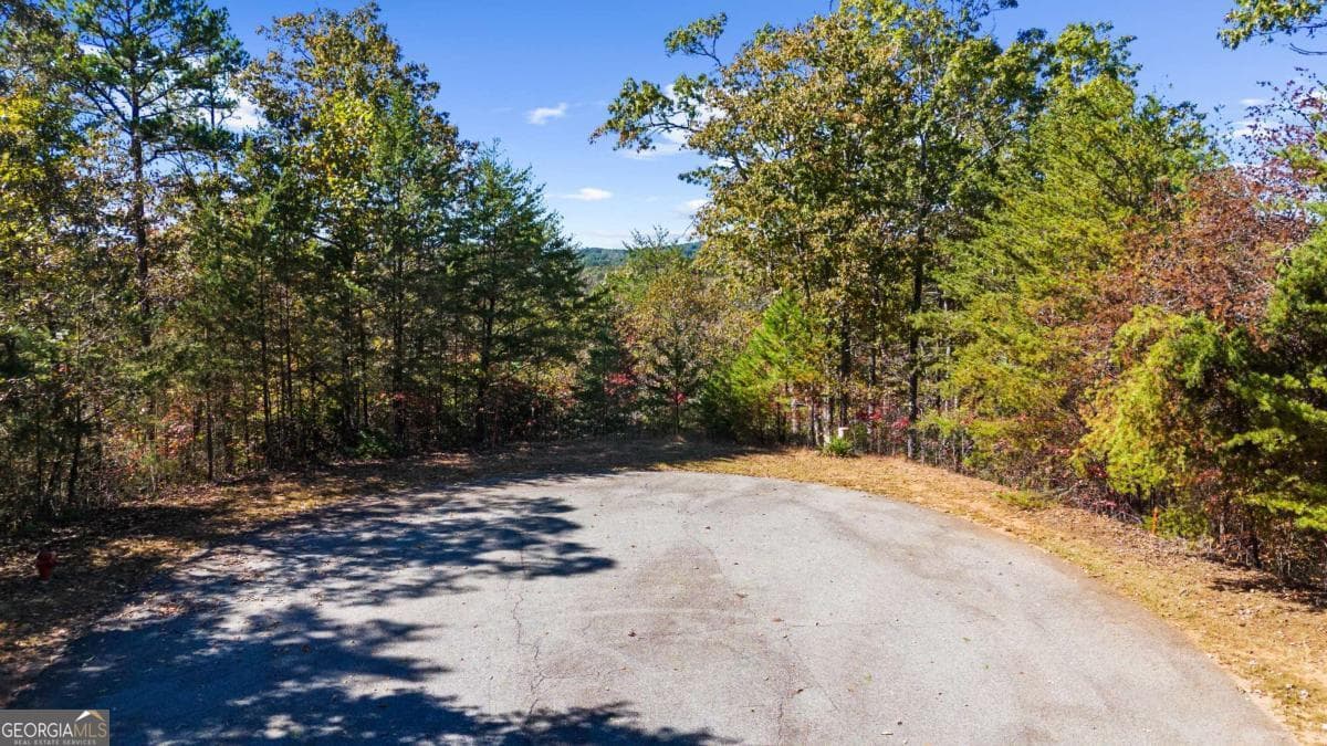 residential lot for sale at 1047 Nugget Court, Dahlonega, GA 30533 — photo 2