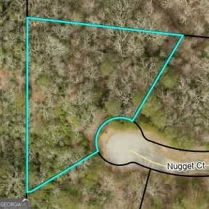 residential lot for sale at 1047 Nugget Court, Dahlonega, GA 30533 — photo 7