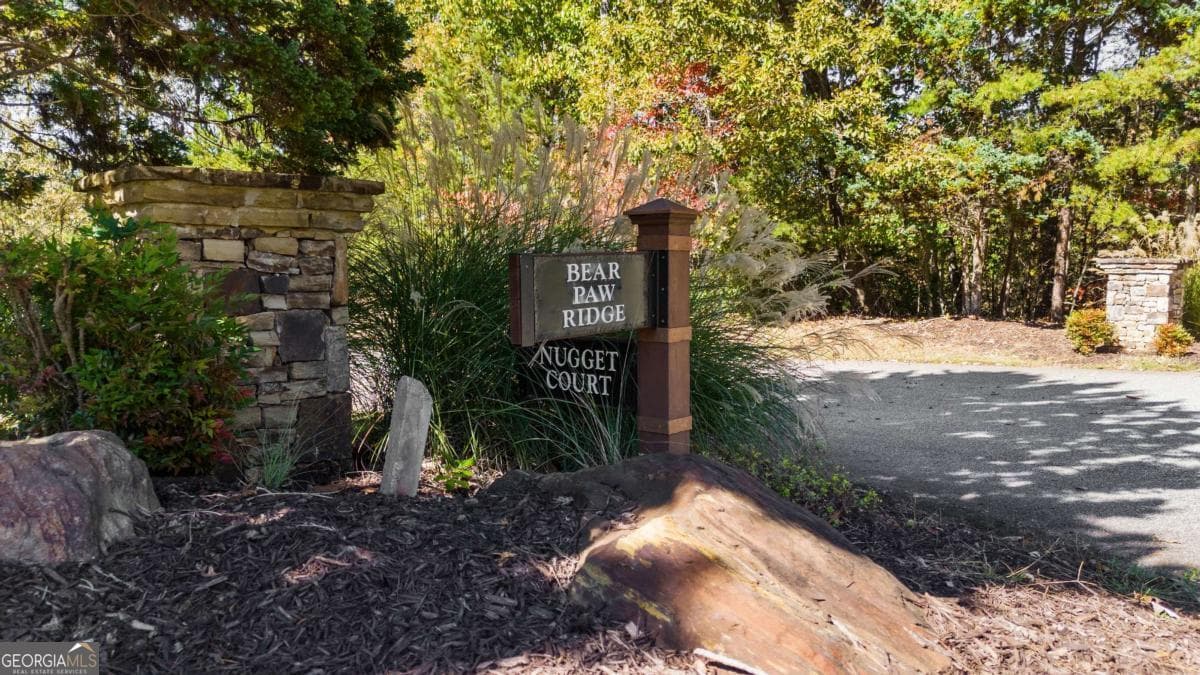 residential lot for sale at 1047 Nugget Court, Dahlonega, GA 30533 — photo 3