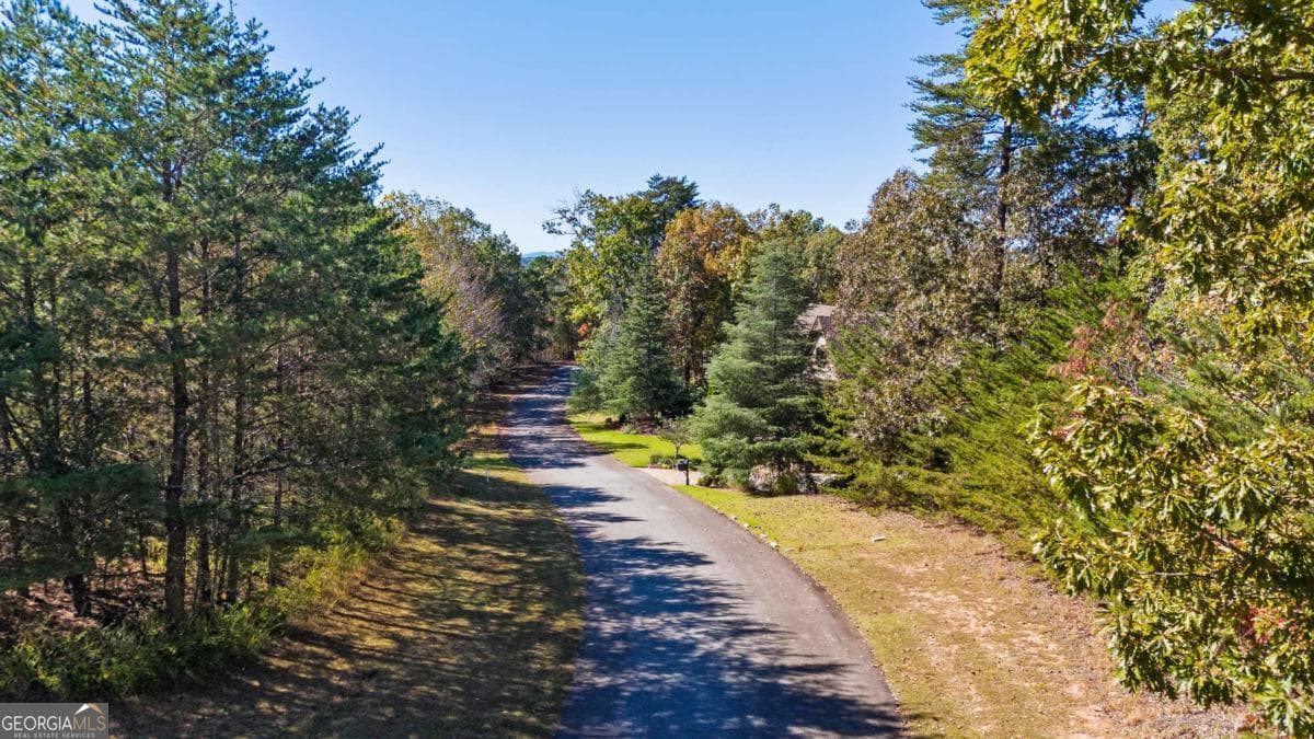 residential lot for sale at 1047 Nugget Court, Dahlonega, GA 30533 — photo 5