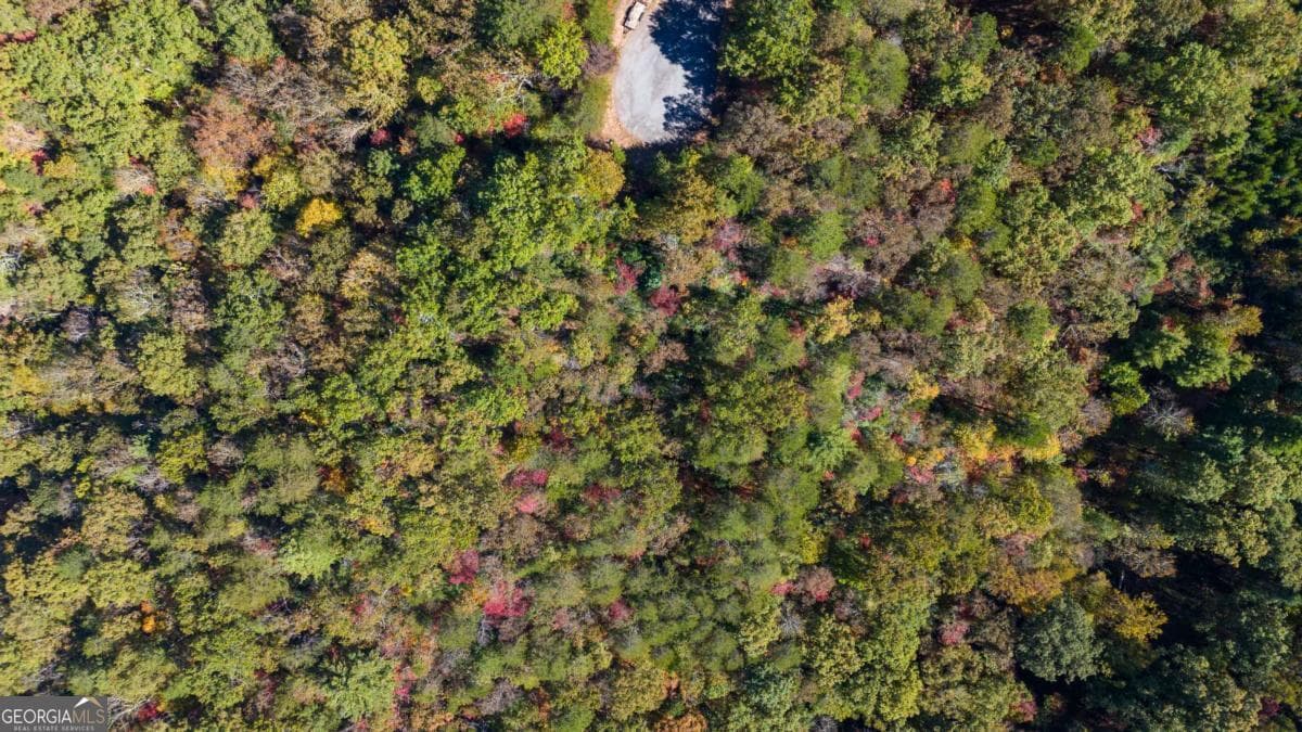 residential lot for sale at 1047 Nugget Court, Dahlonega, GA 30533 — photo 9