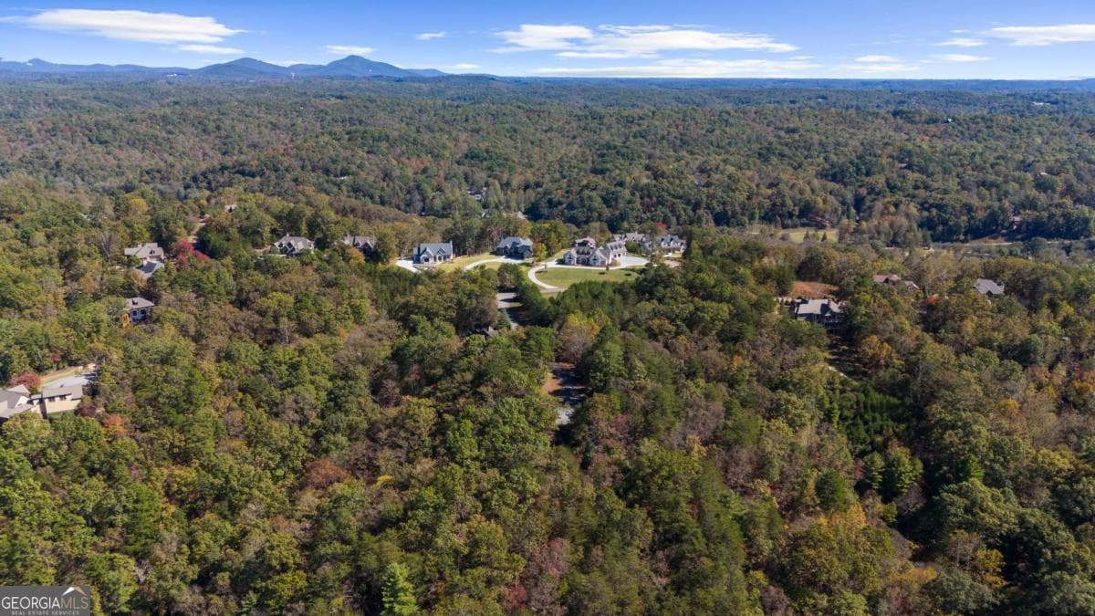 residential lot for sale at 1047 Nugget Court, Dahlonega, GA 30533 — photo 10