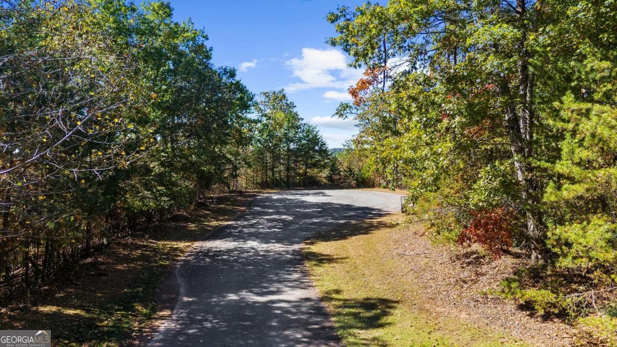 residential lot for sale at 1047 Nugget Court, Dahlonega, GA 30533 — photo 4