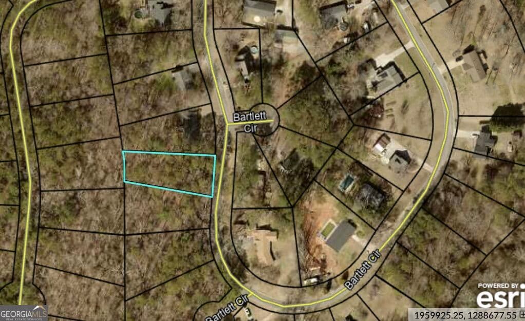 estate lot for sale at 0 Bartlett Circle, Bowdon, GA 30108 — photo 3