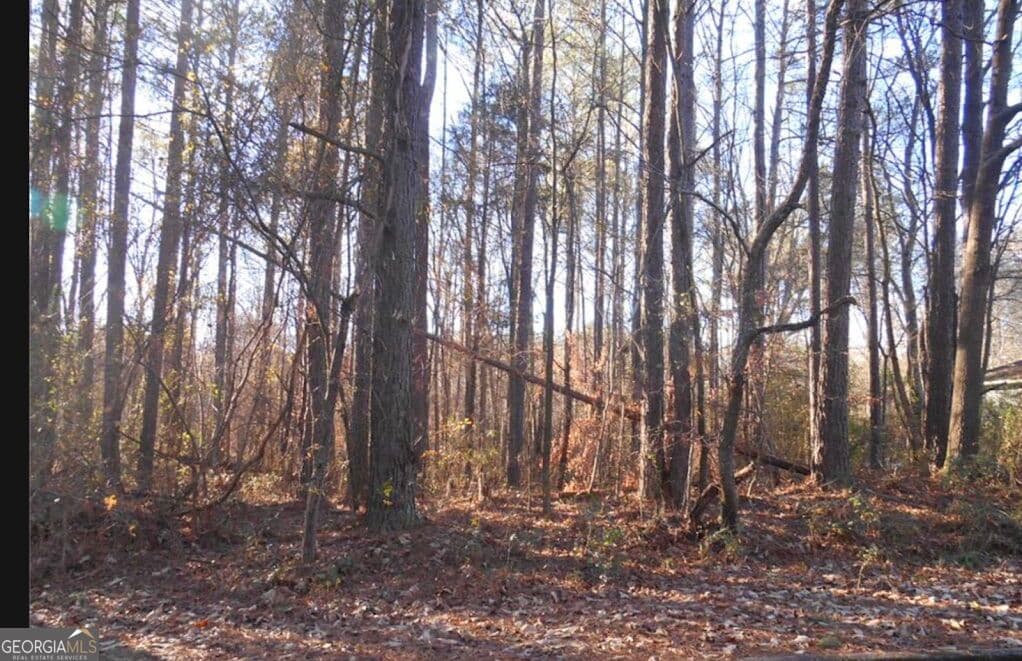 estate lot for sale at 0 Bartlett Circle, Bowdon, GA 30108 — photo 1 of 4