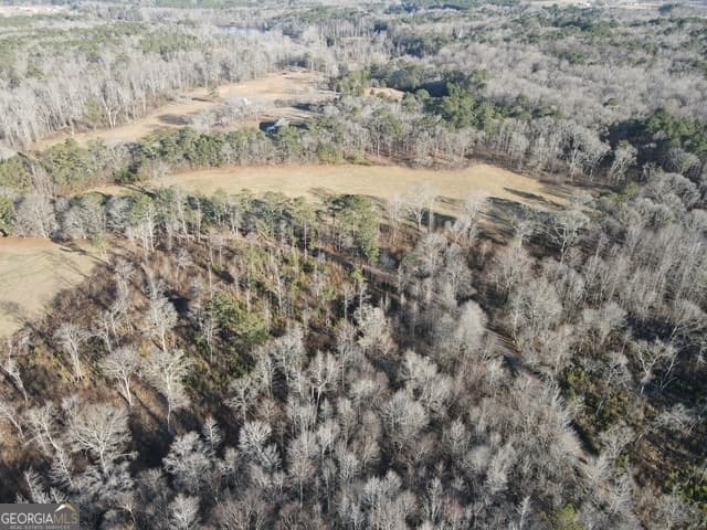 residential lot for sale at LOT 8 Caldwell, Zebulon, GA 30295 — photo 9