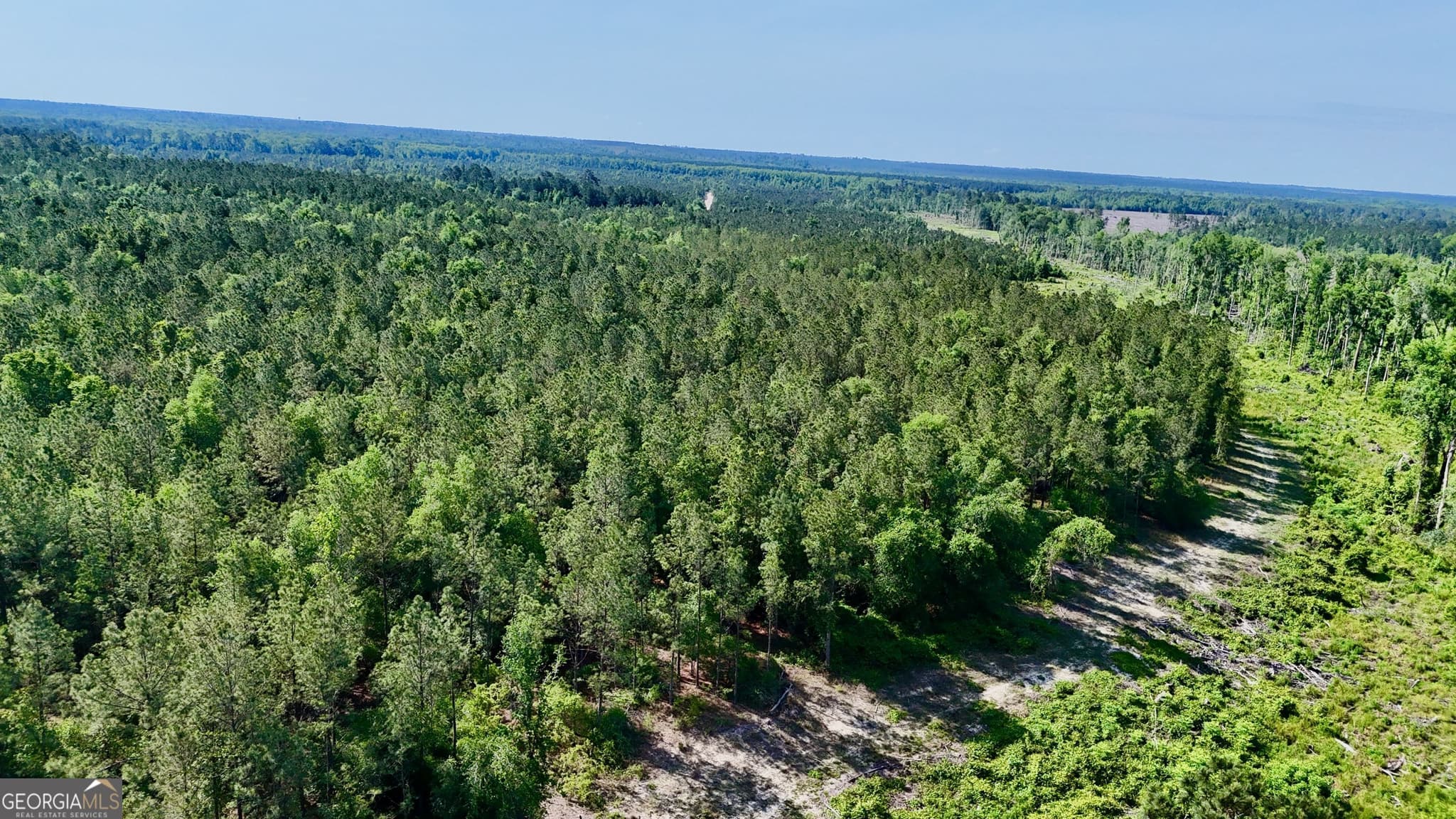 agriculture for sale at 0 Tillman Cemetery Road, Lumber City, GA 31549 — photo 2
