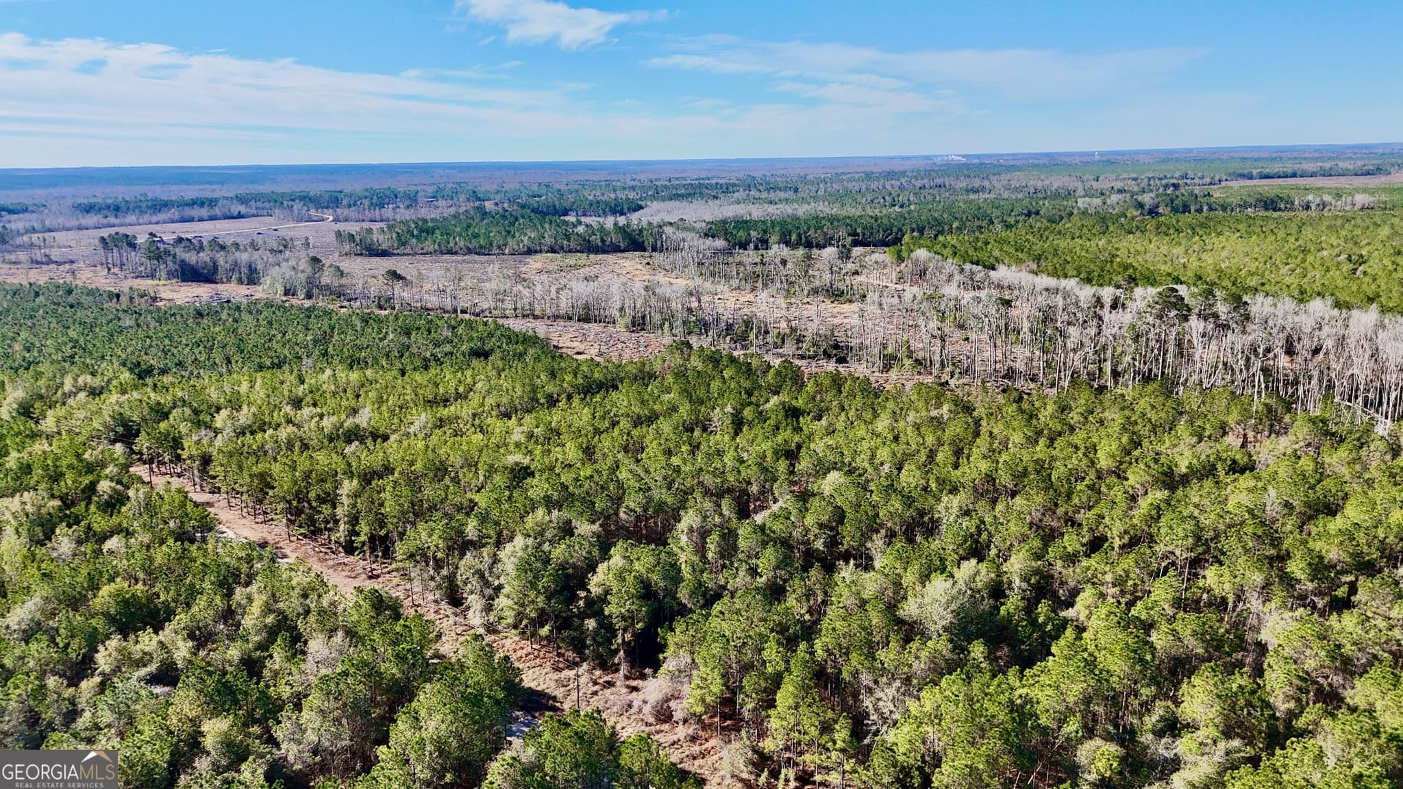 agriculture for sale at 0 Tillman Cemetery Road, Lumber City, GA 31549 — photo 6