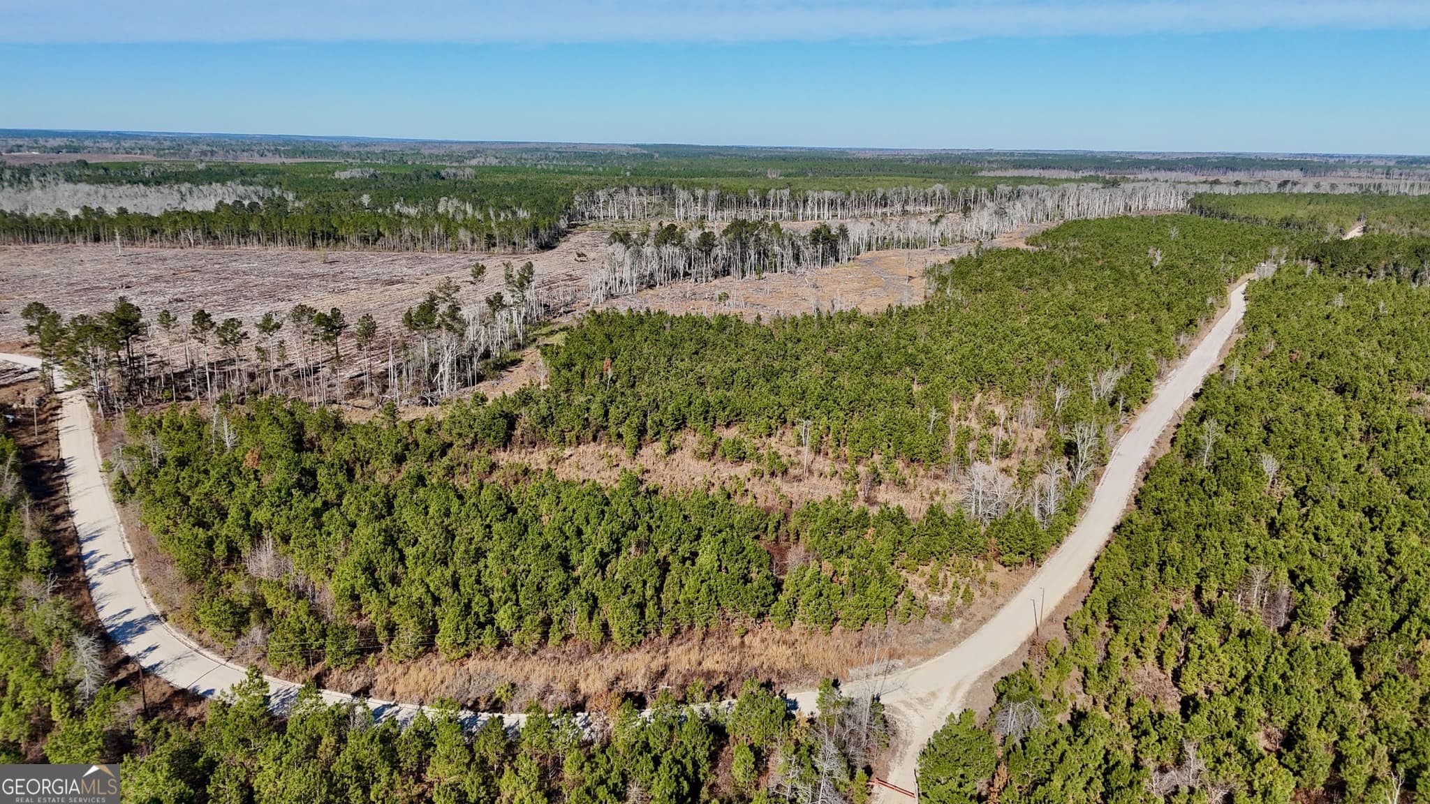 agriculture for sale at 0 Tillman Cemetery Road, Lumber City, GA 31549 — photo 7