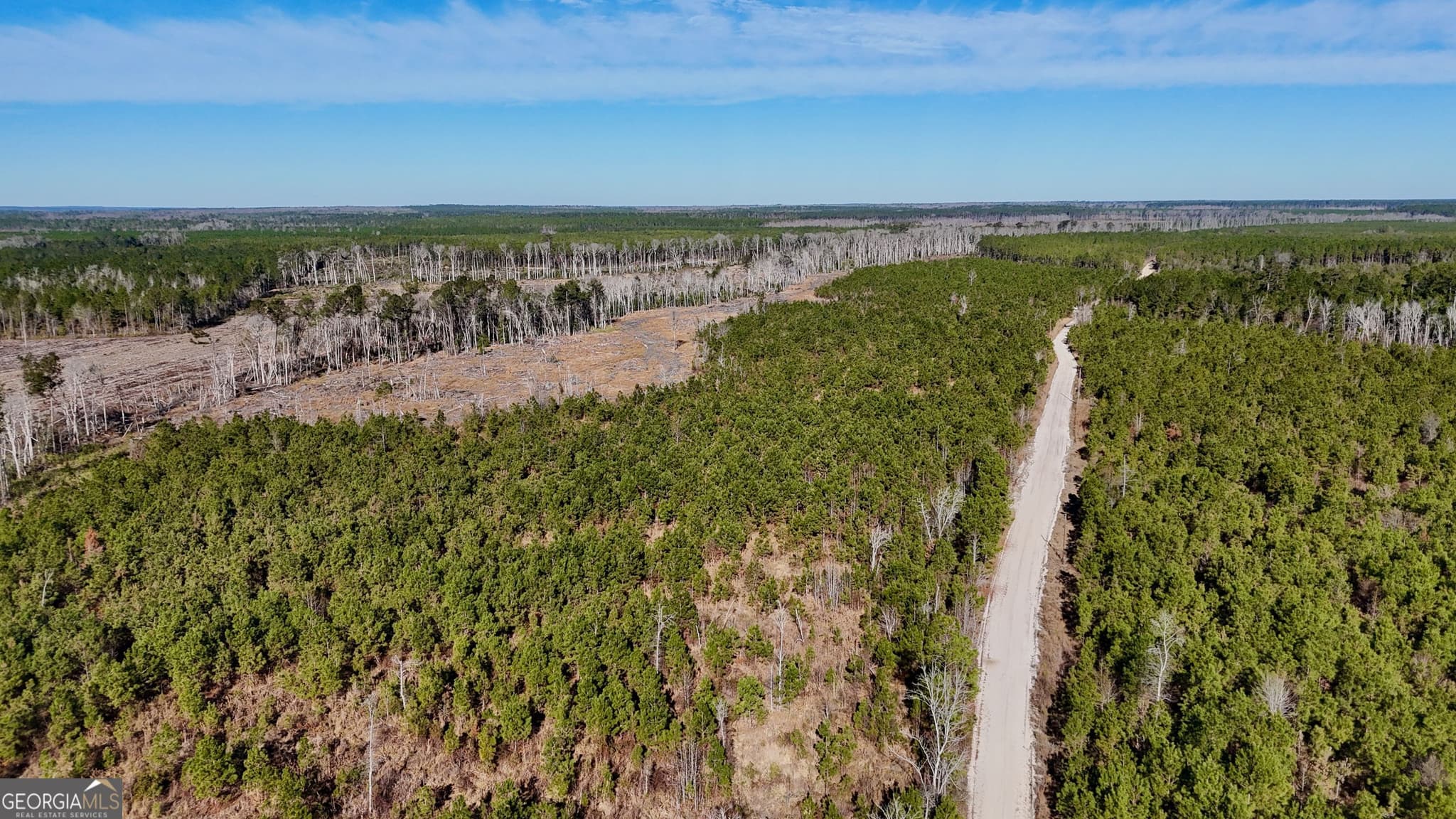 agriculture for sale at 0 Tillman Cemetery Road, Lumber City, GA 31549 — photo 8
