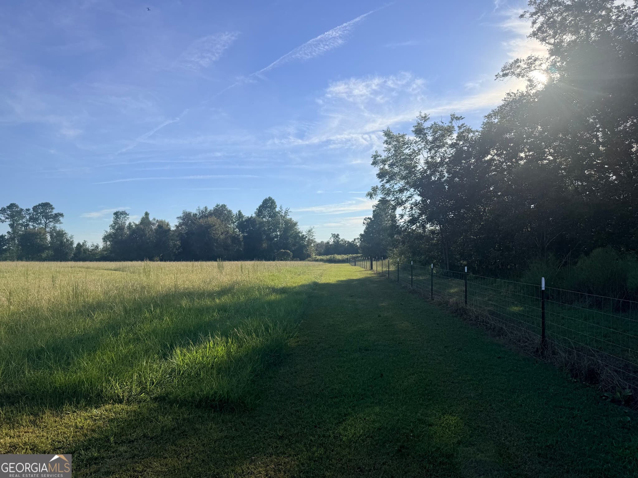 residential lot for sale at 1589 Ga Highway 23, Garfield, GA 30425 — photo 2