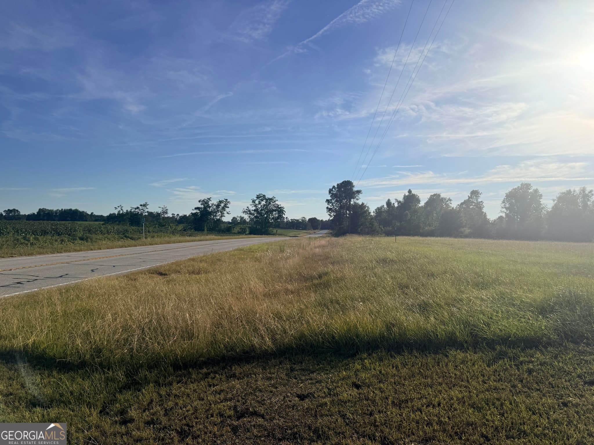 residential lot for sale at 1589 Ga Highway 23, Garfield, GA 30425 — photo 3