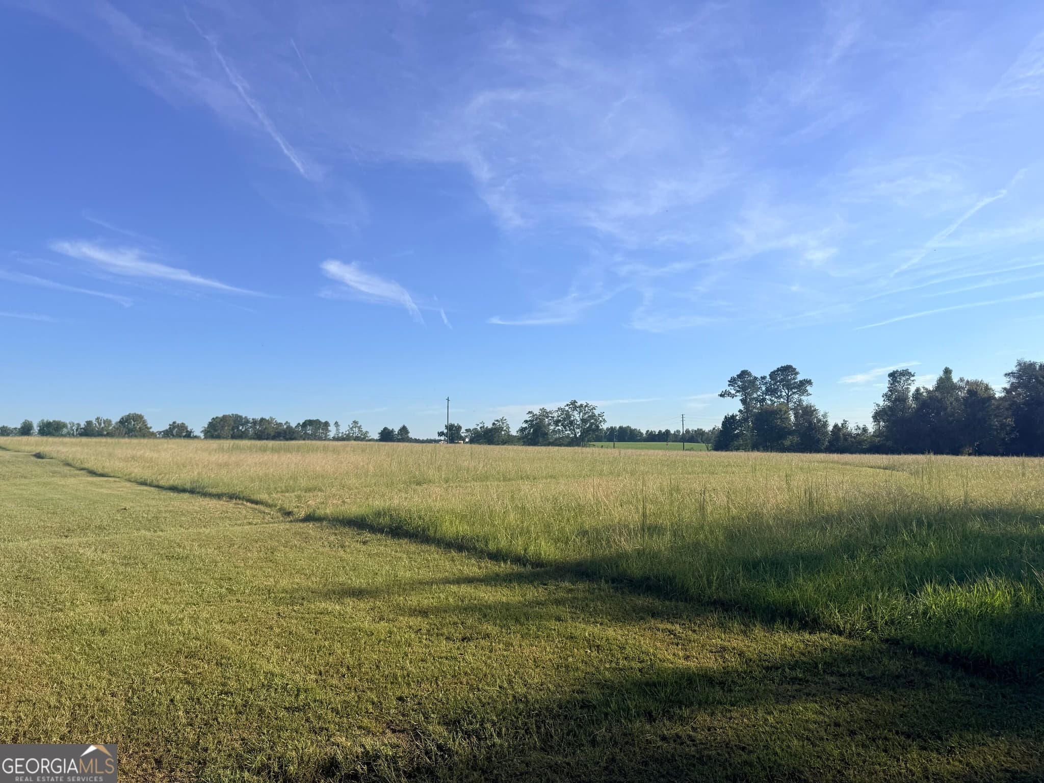 residential lot for sale at 1589 Ga Highway 23, Garfield, GA 30425 — photo 1 of 4