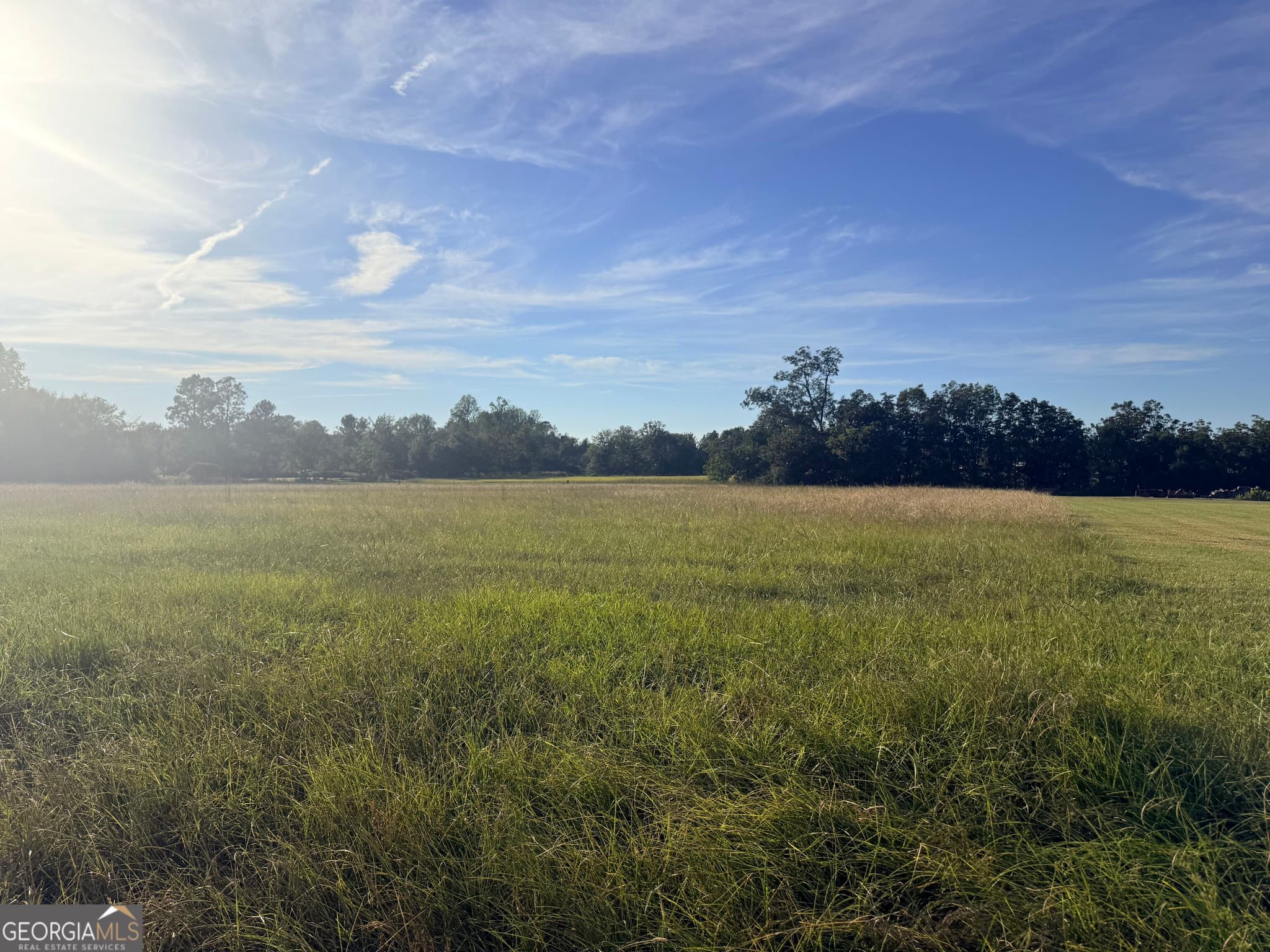 residential lot for sale at 1589 Ga Highway 23, Garfield, GA 30425 — photo 4