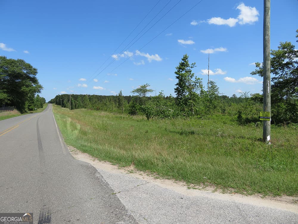 residential lot for sale at 0 Goolsby Road, Ellaville, GA 31806 — photo 2