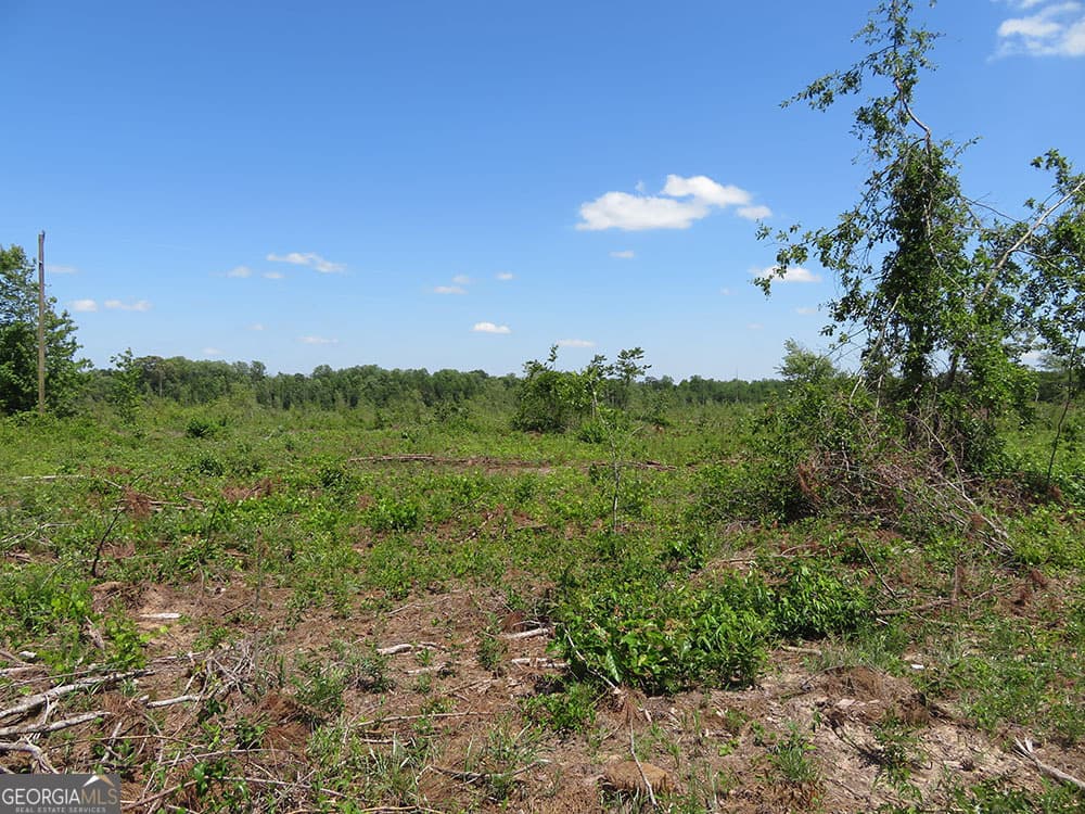 residential lot for sale at 0 Goolsby Road, Ellaville, GA 31806 — photo 6