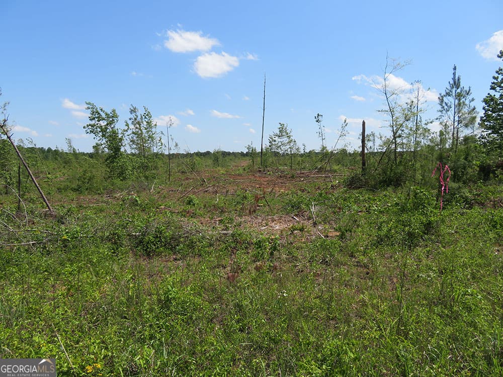 residential lot for sale at 0 Goolsby Road, Ellaville, GA 31806 — photo 3