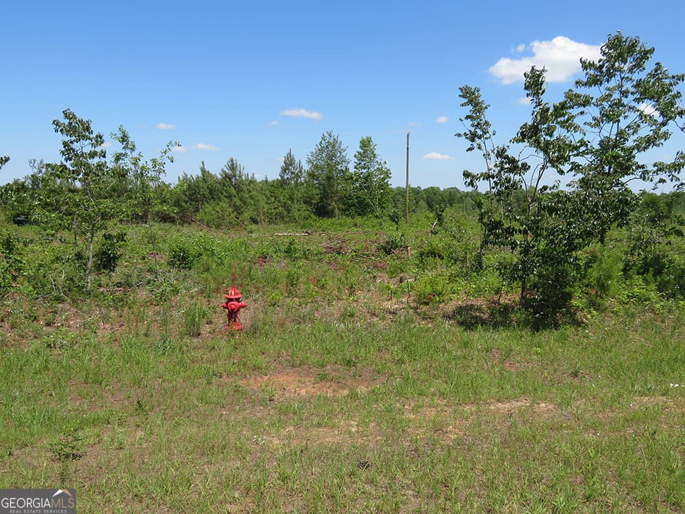 residential lot for sale at 0 Goolsby Road, Ellaville, GA 31806 — photo 4