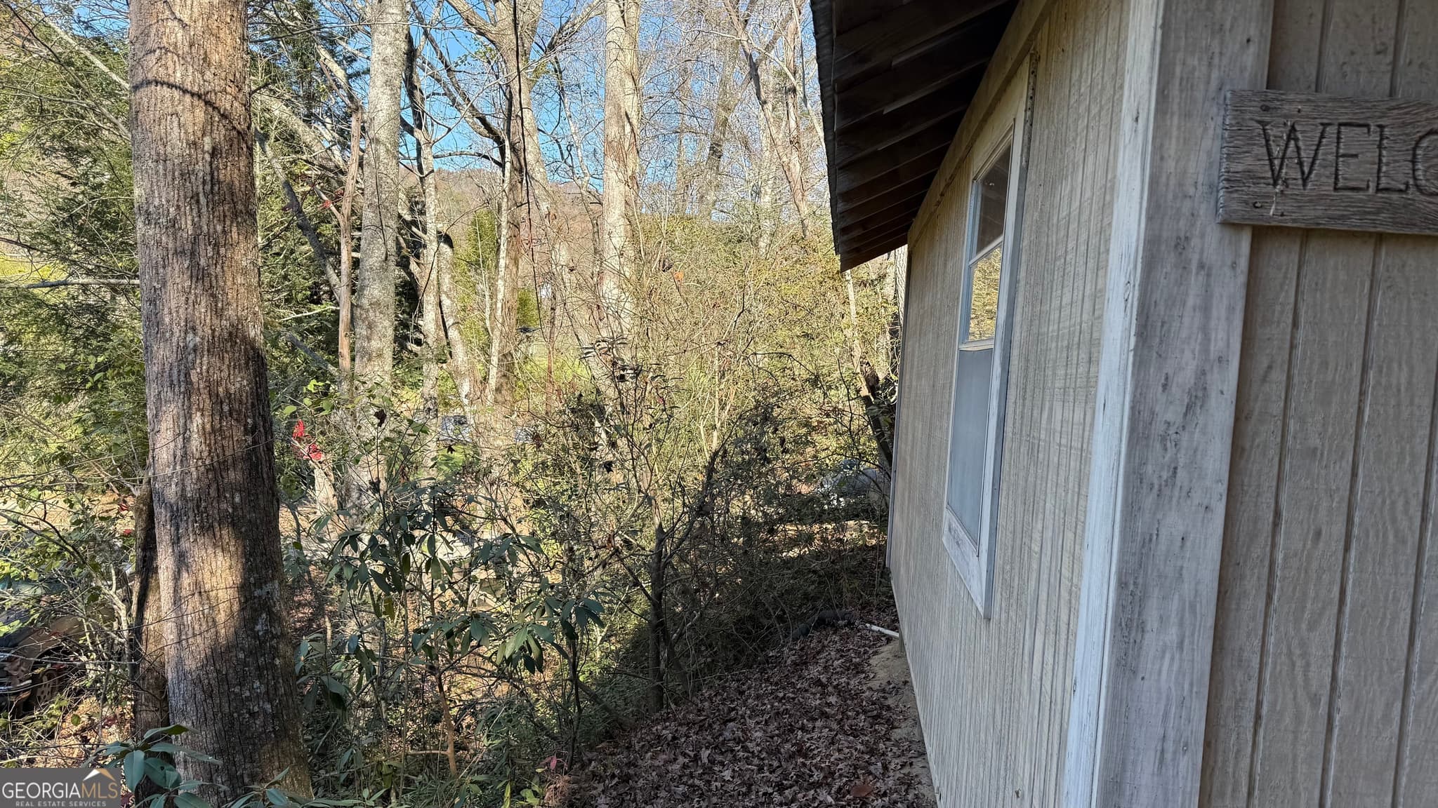 residential lot for sale at 0 Goshen Road, Clarkesville, GA 30523 — photo 8