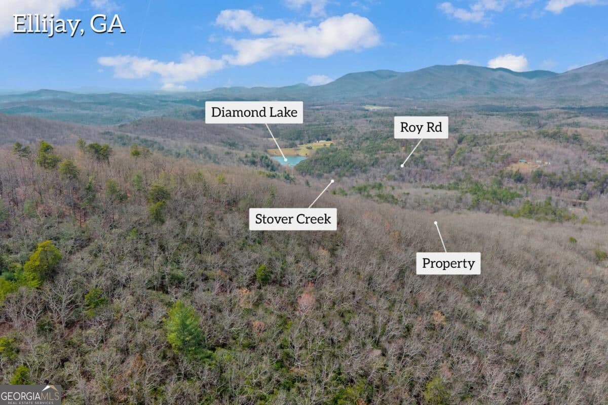 unimproved land for sale at 225 Smallwood Road, Ellijay, GA 30536 — photo 2