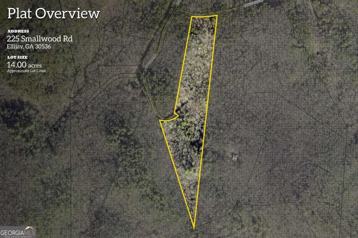 unimproved land for sale at 225 Smallwood Road, Ellijay, GA 30536 — photo 6