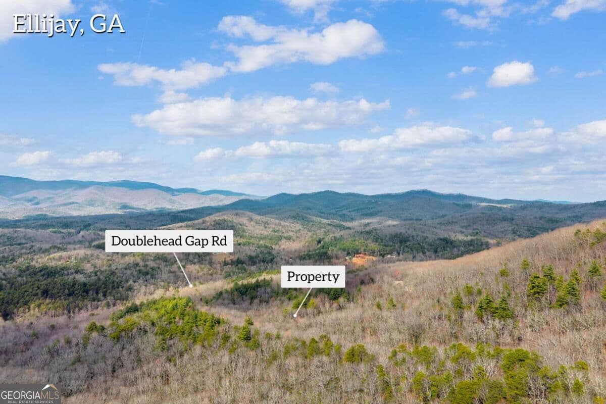 unimproved land for sale at 225 Smallwood Road, Ellijay, GA 30536 — photo 3