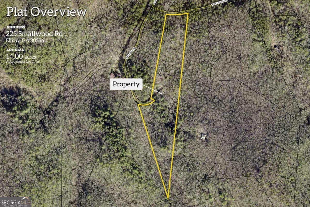 unimproved land for sale at 225 Smallwood Road, Ellijay, GA 30536 — photo 5