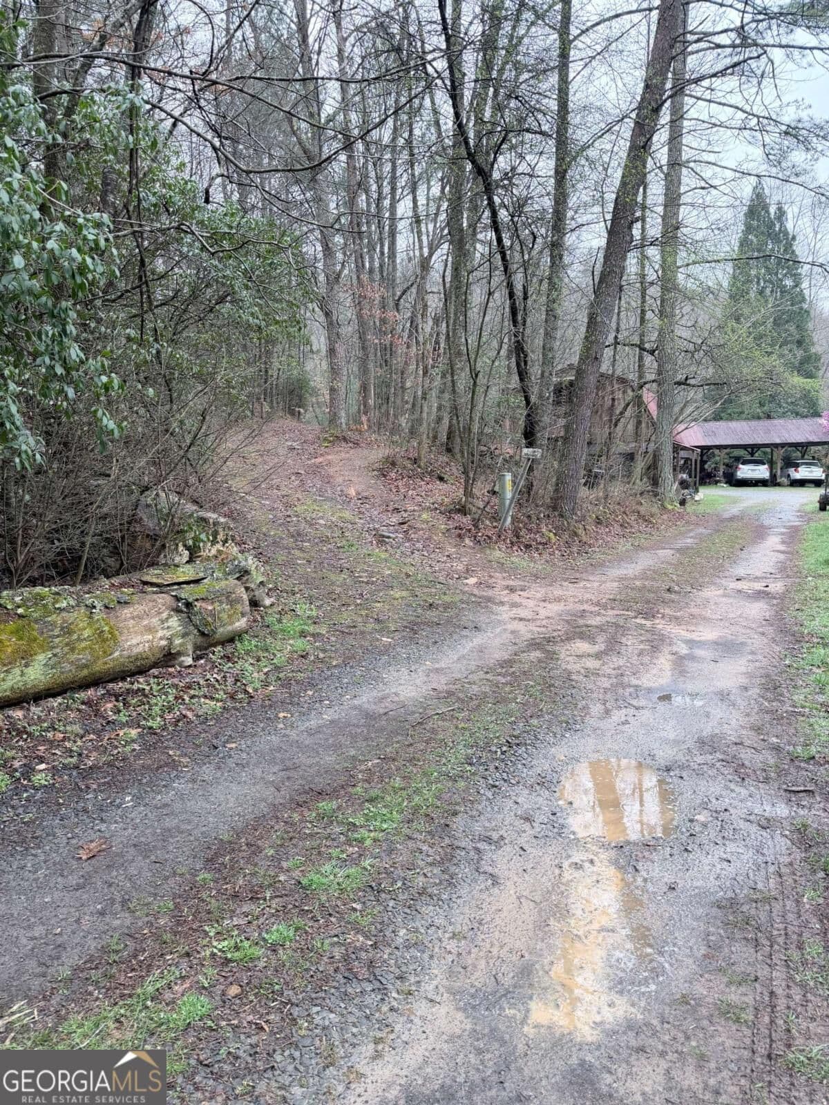 unimproved land for sale at 225 Smallwood Road, Ellijay, GA 30536 — photo 9