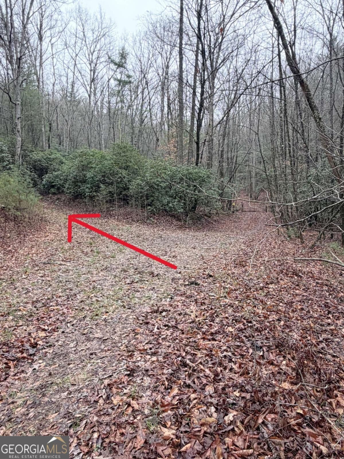 unimproved land for sale at 225 Smallwood Road, Ellijay, GA 30536 — photo 10