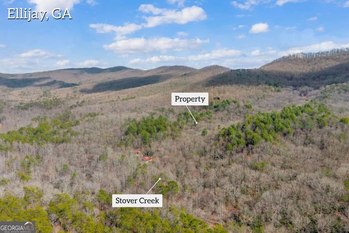 unimproved land for sale at 225 Smallwood Road, Ellijay, GA 30536 — photo 4