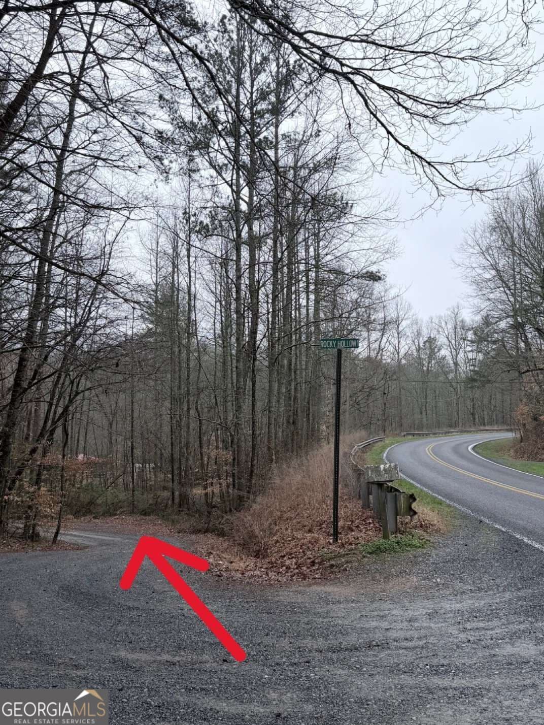 unimproved land for sale at 225 Smallwood Road, Ellijay, GA 30536 — photo 8