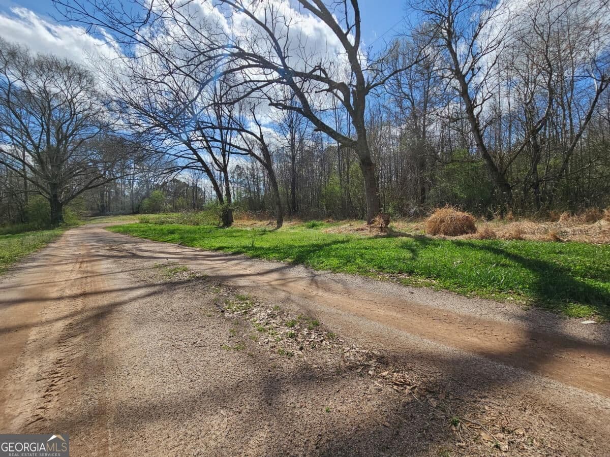 agriculture for sale at 0 Bell Road, Bremen, GA 30110 — photo 2