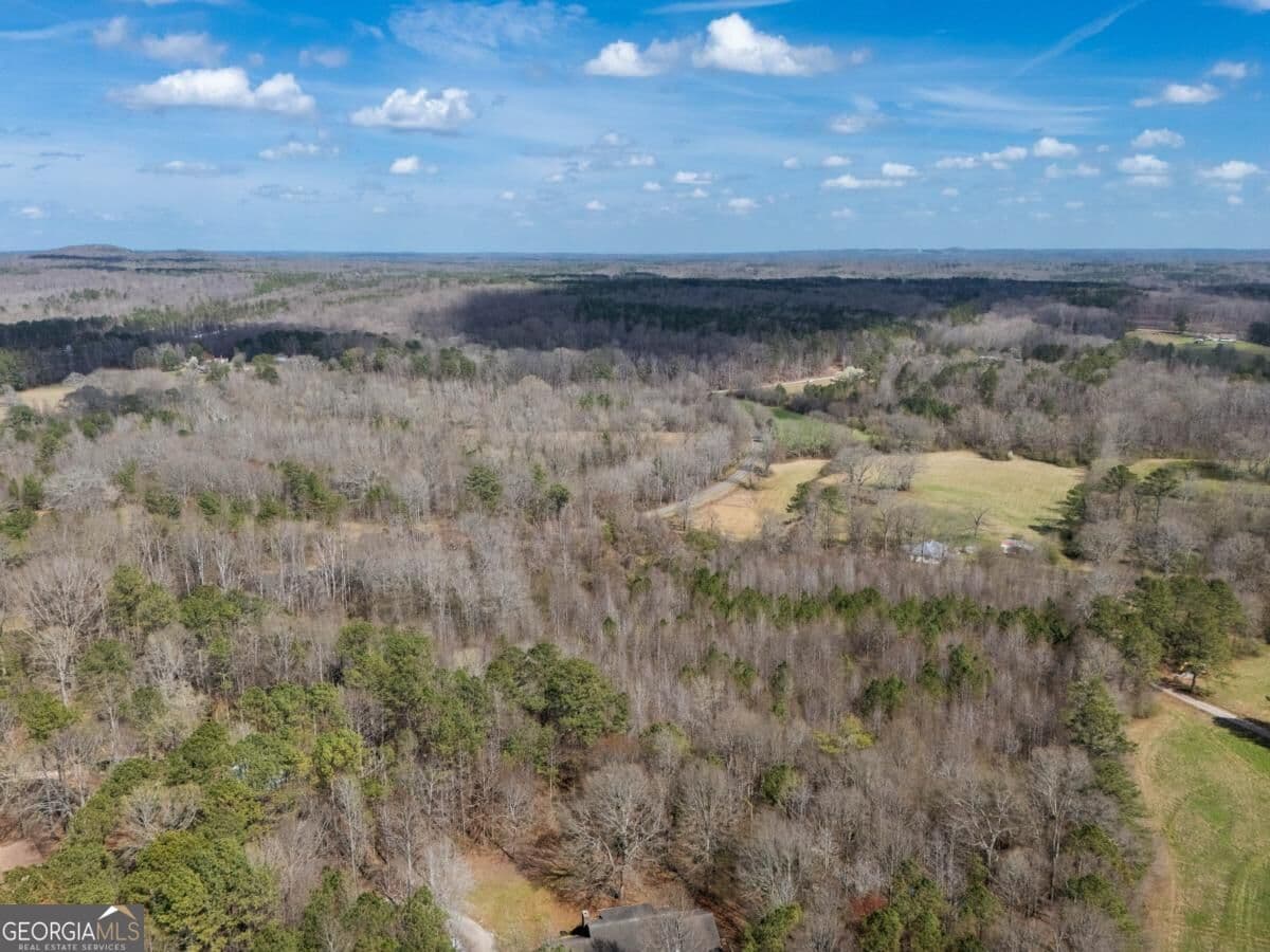 agriculture for sale at 0 Bell Road, Bremen, GA 30110 — photo 10