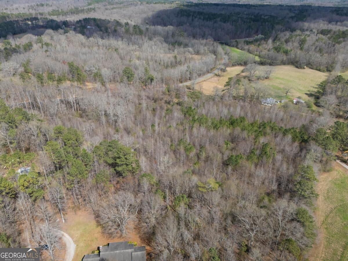 agriculture for sale at 0 Bell Road, Bremen, GA 30110 — photo 8