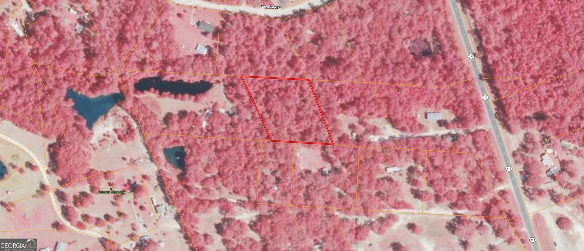 residential lot for sale at 0 Twin Flower Trail, Hortense, GA 31543 — photo 6
