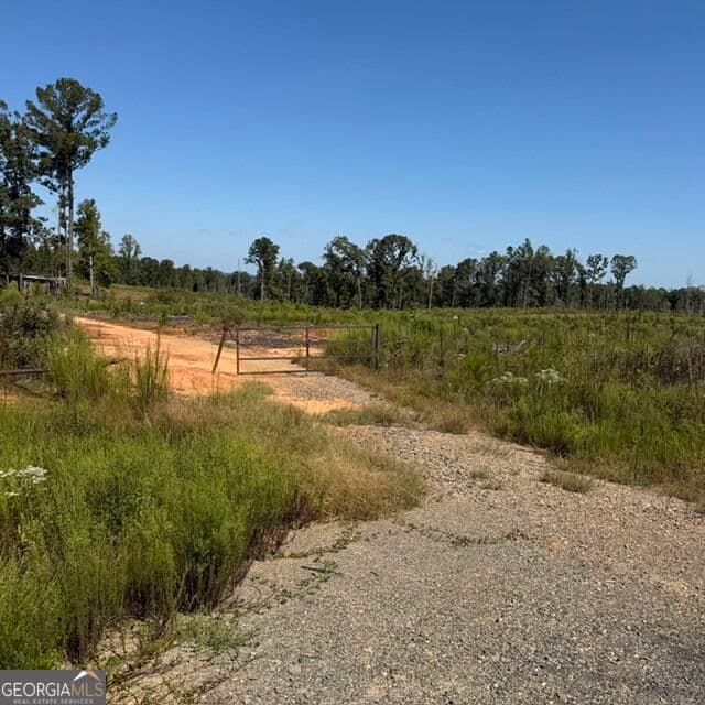 agriculture for sale at 76 +/- ACRES ON Gibson Road, Talbotton, GA 31827 — photo 2